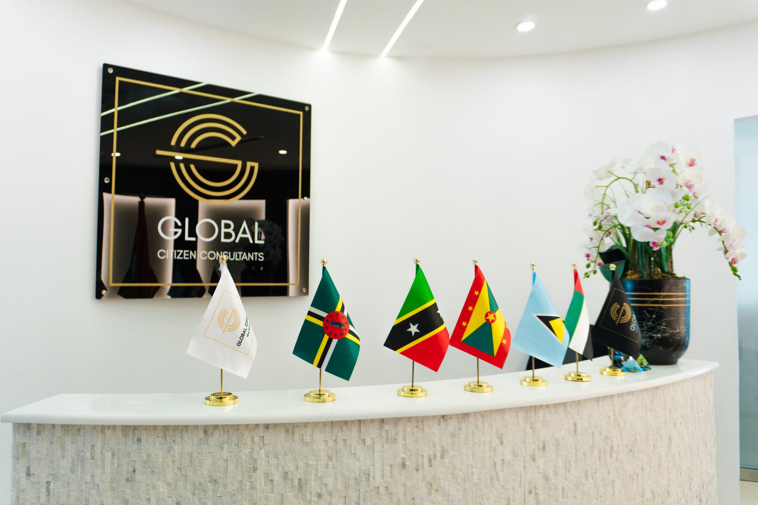 Global Citizen Consultants reception